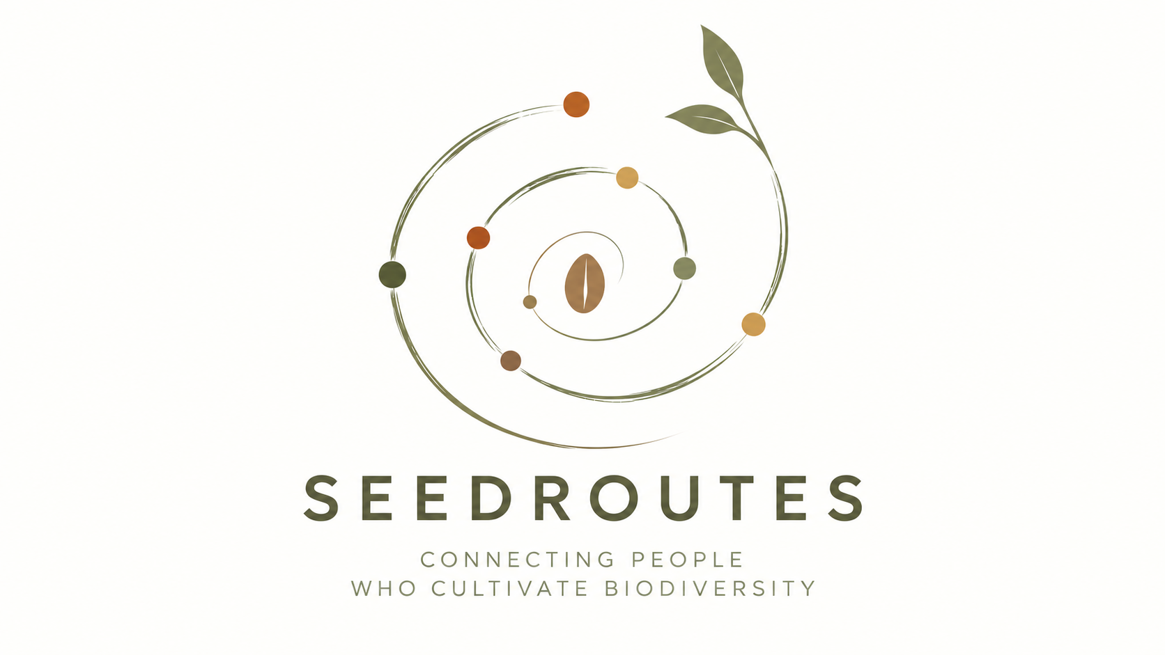 Seed Routes Banner
